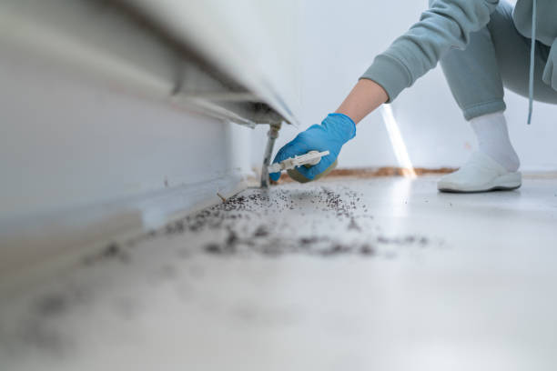 Best Flea Control Services  in Greencastle, IN